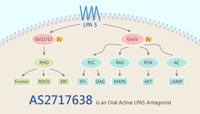 AS2717638 is an Oral Active LPA5 Antagonist